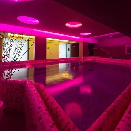 ホテル Hermitage & Thermal 4*