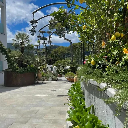 Hermitage & Thermal 4* 伊斯基亚