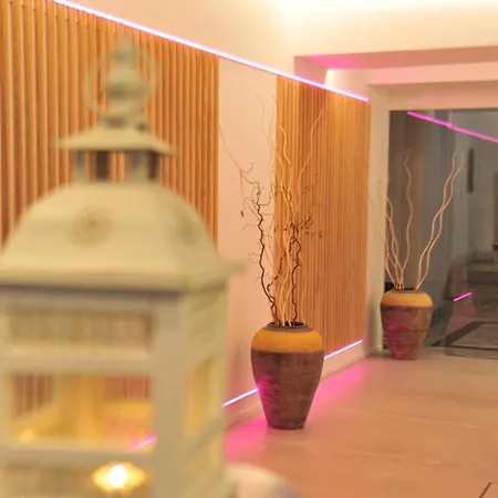 酒店 Hermitage & Thermal 伊斯基亚