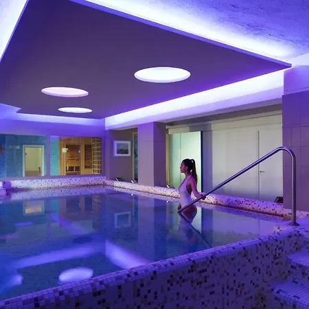 Hermitage & Thermal 酒店 伊斯基亚